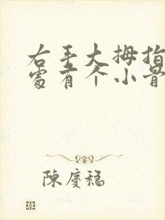右手大拇指关节处有个小骨头凸起封面