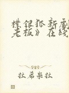 朴银狐新剧《女老板》在线播放封面