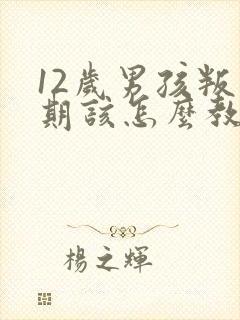 12岁男孩叛逆期该怎么教育封面