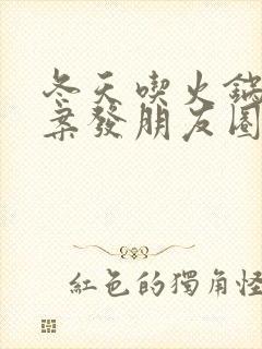 冬天吃火锅的文案发朋友圈