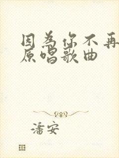 因为你不再是我原唱歌曲