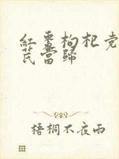 红枣枸杞党参黄芪当归