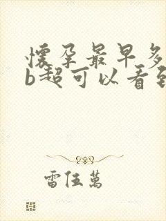 怀孕最早多少天b超可以看到孕囊封面