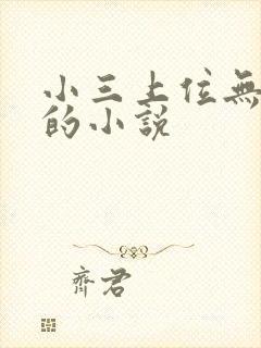 小三上位无三观的小说