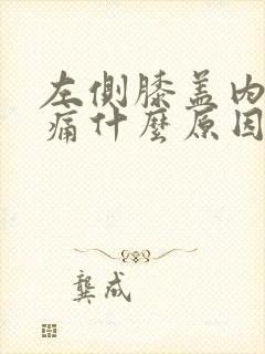 左侧膝盖内侧疼痛什么原因封面