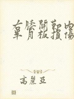 右膝关节内外侧半月板损伤2度