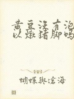 黄豆没有泡开可以炖猪脚吗封面