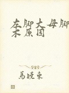左脚大母脚趾麻木原因
