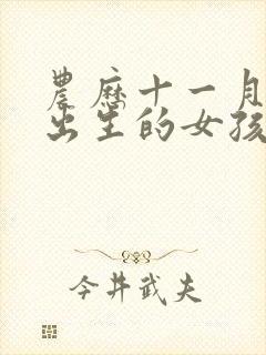 农历十一月十五出生的女孩是什么命封面