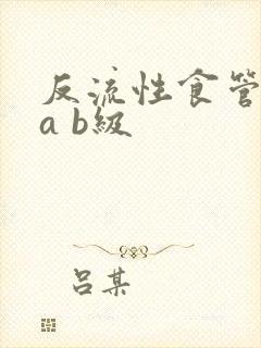 反流性食管炎la b级