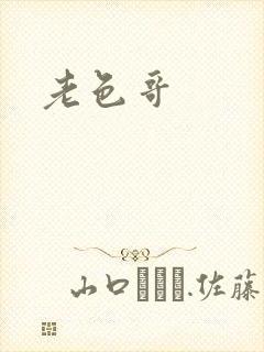 老色哥封面