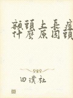 额头上长痘痘是什么原因头