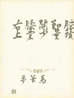 右膝关节腔及髌上囊少量积液.