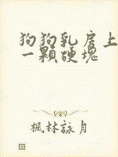 狗狗乳房上长了一颗硬块