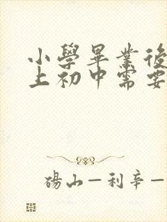小学毕业后转学上初中需要什么手续
