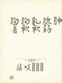 狗狗乳腺肿大摸着软软的