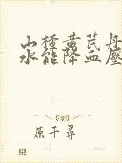 山楂黄芪丹参泡水能降血压吗