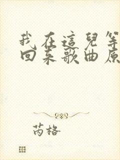 我在这儿等着你回来歌曲原唱