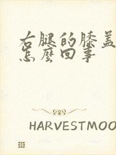 右腿的膝盖疼是怎么回事