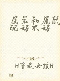 属羊和属鼠的婚配好不好