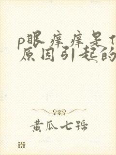 p眼痒痒是什么原因引起的