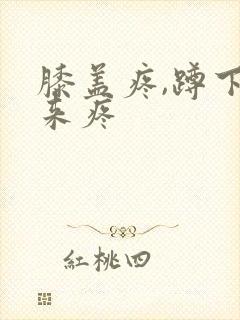 膝盖疼,蹲下起来疼封面