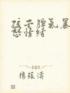 孩子脾气暴躁易怒情绪