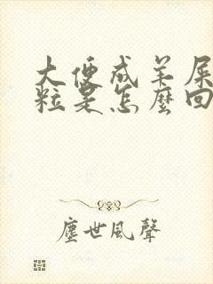 大便成羊屎蛋颗粒是怎么回事