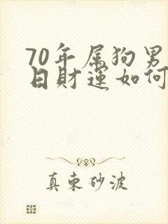 70年属狗男今日财运如何