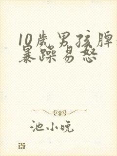 10岁男孩脾气暴躁易怒封面
