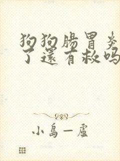 狗狗肠胃炎拉血了还有救吗