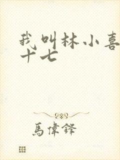我叫林小喜今年十七