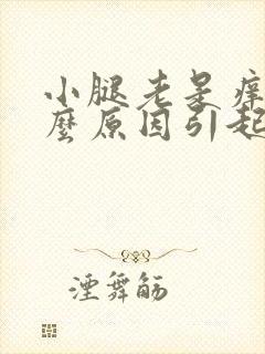 小腿老是痒是什么原因引起的