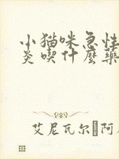 小猫咪急性肠胃炎吃什么药