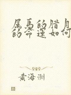 属马的腊月生人的命运如何