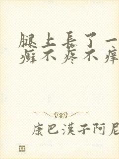 腿上长了一片红癣不疼不痒