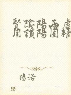 肾阴阳两虚可以用锁阳固精丸吗