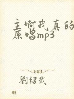 主啊我真的好累原唱mp3封面