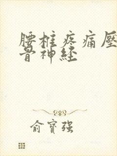 腰椎疼痛压迫坐骨神经