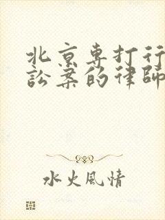 北京专打行政诉讼案的律师事务所封面