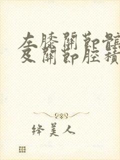 左膝关节髌上囊及关节腔积液咋治