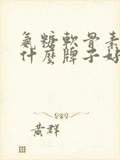 氨糖软骨素钙片什么牌子好