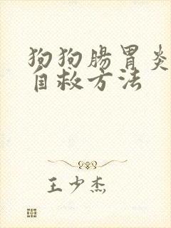 狗狗肠胃炎在家自救方法
