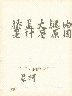 膝盖大腿内侧疼是什么原因