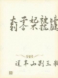 太子妃被暗卫C到合不拢腿