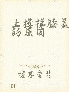 上楼梯膝盖疼痛的原因封面