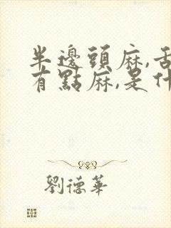 半边头麻,舌头有点麻,是什么原因