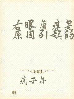 右眼角痒是什么原因引起的