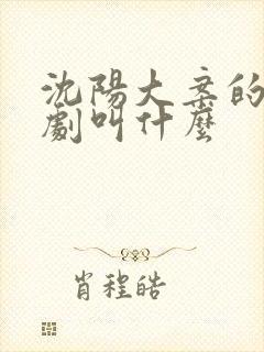 沈阳大案的电视剧叫什么封面