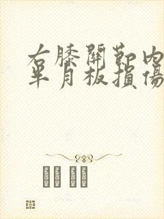 右膝关节内外侧半月板损伤1级